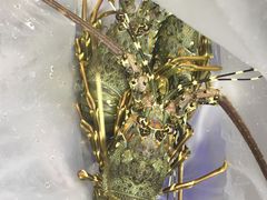 -盒马鲜生(宝地店)