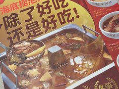 -海底捞火锅(奥体南路店)