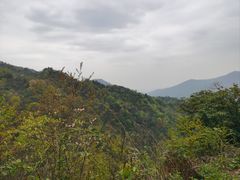 -青城山