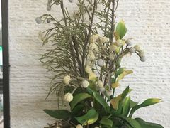 -成都峨眉雪芽大酒店