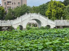 -长洲岛