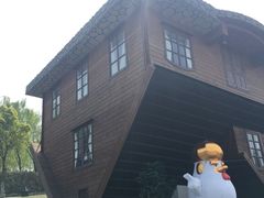 -金山农民画村-枫泾波兰倒置屋