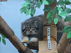 -青藏高原野生动物园