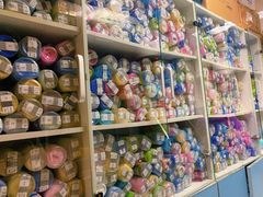 -北京观赏动物医院·24小时大型综合·猫专科·异宠专科