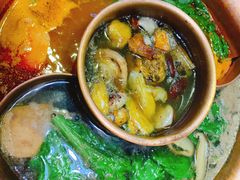 -老诚一锅羊蝎子(黄寺大街店)