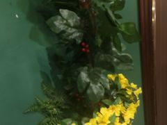 -第101座花园餐厅(湖滨88店)