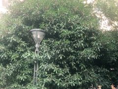 -上置·绿洲雅宾利花园