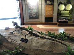 -自贡恐龙博物馆