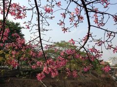 iphone_upload_pic-广州大学(桂花岗校区)