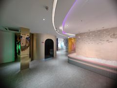 -白梧桐·团建聚会·百人轰趴馆(留仙洞店)