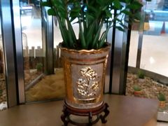 大堂的环境-华厦大酒店·桃源西餐厅·自助餐