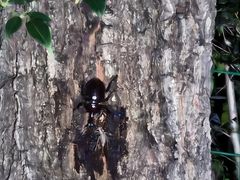 -宝岩生态观光园