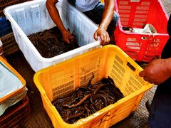 -白沙洲农产品大市场海鲜交易区