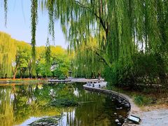 -玲珑塔公园