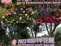 -人民公园(罗湖区)