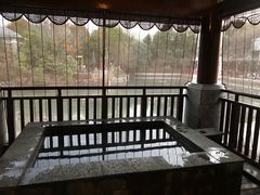 -深业半汤御泉庄温泉