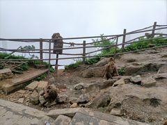 -峨眉山风景名胜区