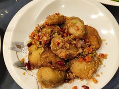 -金龙寨(龙城路店)