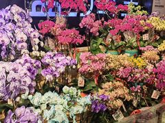 -盒马鲜生(曜一城店)