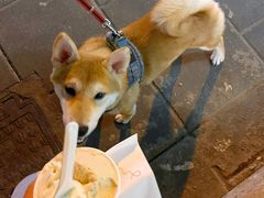 -DIP in GELATO(富民路店)