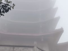 -缙云山景区
