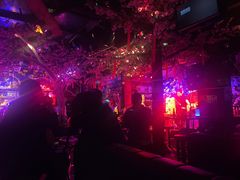 -周庄红庭演艺酒吧