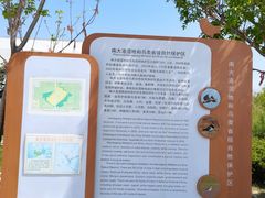 -南大港湿地风景区
