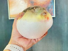 -永安鱼庄·镇江菜(东吴路店)