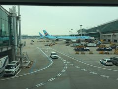 -乐天免税店(仁川国际机场店)