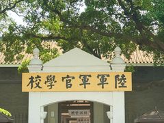 -长洲岛