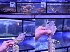 -达叔香味海鲜(海棠68环球美食街店)