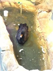 -酷嗒动物文化乐园(cutezoo西溪乐天城店)