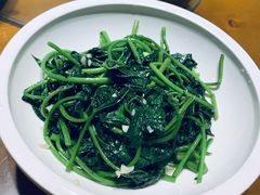 红薯叶尖-格塘人家·山泉水煮鱼(望兴家园店)