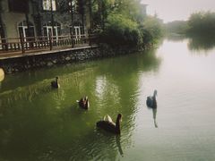 -芭东小镇温泉
