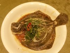 多宝鱼-东方之珠海鲜酒楼(南开店)
