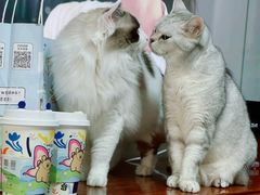 -瑞幸咖啡(石榴中心店)