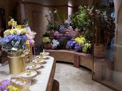 -BEAST野兽派(上海浦东嘉里城店)