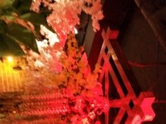 -网红丛林音乐烤吧