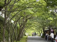 -三千院