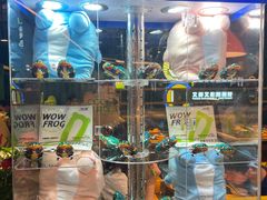 -蛙喔牛蛙(百联南方店)