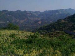 -云南屏边大围山国家公园