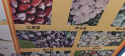 -寻石问宝研学亲子乐园(朝阳公园店)
