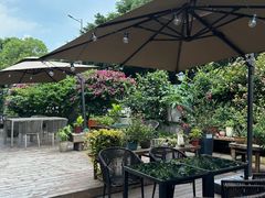 -一棵树·意大利西餐厅One Tree(新城店)