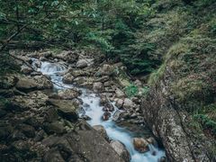 -白云源风景区