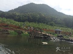 -广州市石门国家森林公园