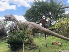 -自贡恐龙博物馆