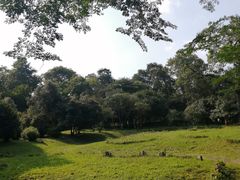 -杭州植物园