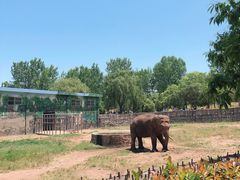-西安秦岭野生动物园