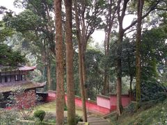 -峨眉山报国寺
