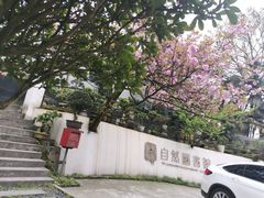-南山植物园